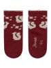 Sterntaler Socken 4er-Pack Reh in ecru
