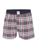 Phil & Co. Berlin  Boxer All Styles in 337-Mix