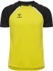 Hummel T-Shirt "Hmllead 2.0 Jersey S/S" in Gelb