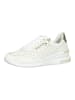 ara Sneaker in Cream