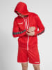 Hummel Hummel Hoodie Hmlauthentic Multisport Herren in TRUE RED