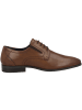 s.Oliver BLACK LABEL Businessschuhe 5-13210-39 in dunkelbraun