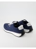 TOMS Sneaker in Blau