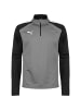 Puma Sweatshirt TeamLIGA 1/4 Zip in grau / weiß