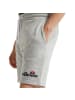 ellesse Shorts in Grau