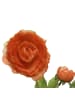 MARELIDA Dekoblume Ranunkel mit Blüte und Knospe in orange - H: 57cm