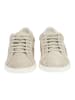 Geox Sneaker in Taupe