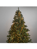 STAR Trading LED Lichterkette Linus