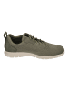 Timberland Sneaker Low GRAYDON LACE 0A671HEY11 in grün