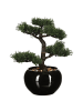 Atmosphera Créateur d'intérieur Künstlicher Bonsai-Baum in schwarz