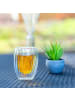 Intirilife Doppelwandiges Thermo Glas Teeglas Kaffeeglas in 4x 210ml Transparent