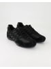 Geox Sneaker low in Schwarz