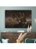 MuchoWow Leinwand Bilder Hirsch