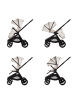 Chipolino Kombikinderwagen Magnum 3 in 1 in natur
