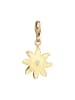 Nenalina Charm 925 Sterling Silber Blume, Edelweiss, Trachtenschmuck in Gold