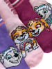 Paw Patrol 5er Pack Paw Patrol Socken Skye Everest Kindersocken Söckchen in rosa/pink