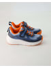 Geox Klettschuhe in Blau