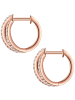 Trilani Creolen aus Sterling Silber mit Zirkonia in roségold