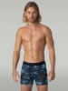 Muchachomalo 3er-Set: Boxershort in Mehrfarbig - für Herren