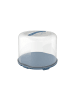 Rotho FRESH Kuchentransportbox XL in Transparent / Horizon blau