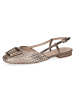 Caprice Ballerinas in Gold