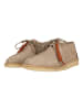 Clarks Schnürschuhe Desert Trek in 1247 Sand Suede