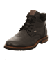 Sioux Stiefeletten/Boot in schwarz