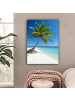 OnlyWow Leinwand Bilder Palme