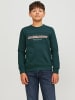 JACK & JONES Junior Sweatshirt in magical forest