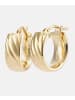 Vanlere Creolen aus 375 Gelbgold