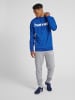 Hummel Hummel Kapuzenpullover Hmlgo Herren in TRUE BLUE