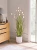 Beliani Kunstpflanze POMPOM GRASS in Grün/Rosa/Schwarz - (W) 50 x (H) 120 x (L) 50 cm