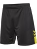 Hummel Hummel Kurze Hose Hmlactive Multisport Herren Atmungsaktiv Schnelltrocknend in OBSIDIAN/SULPHUR SPRING