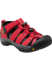 Keen NEWPORT H2 in Rot