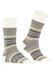 Falke Socken Tinted Stripe in Beige mel.