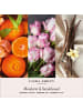 Laura Ashley Laura Ashley Duftanhänger Mandarin & Sandalwood