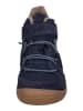 KOEL Sneaker High Beau Wool 06T005.333-110 in blau