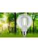 paulmann Eco-Line Filament 230V LED Globe A