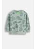 Coccodrillo Sweatshirt in khaki