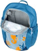 Deuter Rucksack Pico in Aqua/Wave