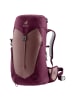Deuter AC Lite 22 SL - Women's Wanderrucksack 56 cm (ashrose-cassis) in ashrose-cassis