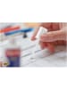 Bic Rapid 6 x 25ml Korrekturflüssigkeit für präzises Ausbessern