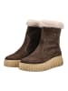 Nero Giardini Stiefelette in Dunkelbraun