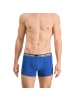 HEAD Boxershorts 5er Pack in Blau