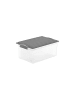 Rotho Stapelbox DIN A4, 13 l COMPACT