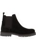 palado Chelsea Boots in coffee brown
