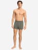 Hanro Boxer Cotton Sporty in smokey olive