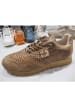 Cetti Sneaker  in Braun