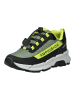 Geox Sneaker Olive