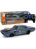 Wisam Auto R/C Sport Aufkleber 1:20 Grau Pilot